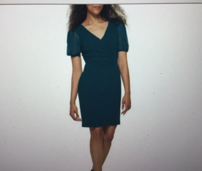 NEW DONNA KARAN DKNY GREEN RUCHED SHEATH DRESS SIZE 16 $129