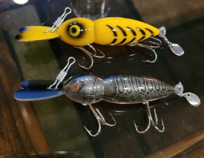 2 Hellbender 3