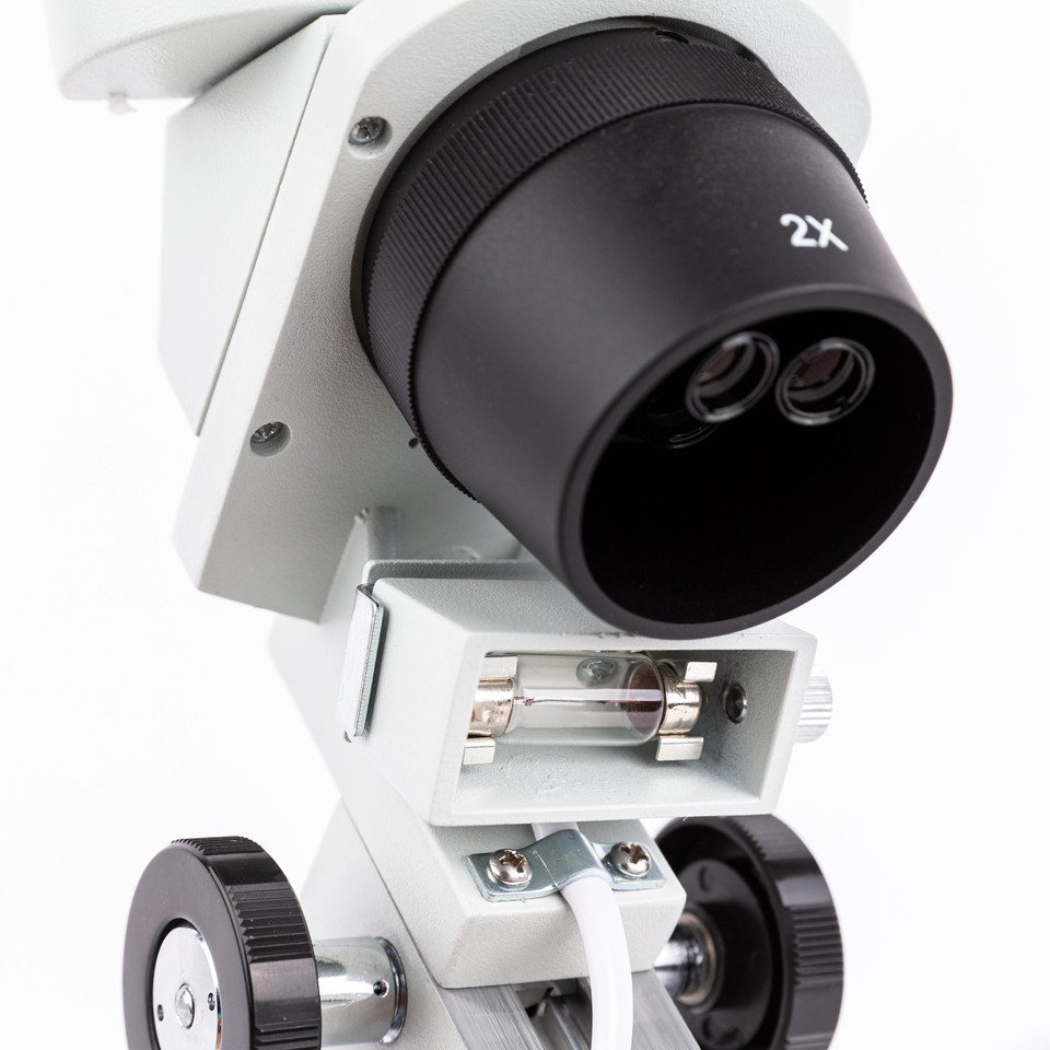 AmScope 40X-80X Student Binocular Stereo Microscope with Dual Lights ...