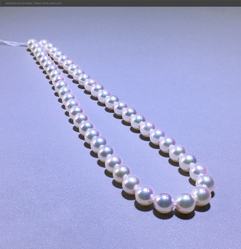 Huge 11-12mm Natural south sea genuine white round loose pearl undrilled 1358AAA