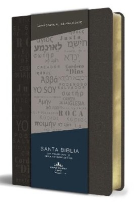 Reina Valera Re Biblia RVR 1960 letra grande tamaño manual, simil  (Taschenbuch)
