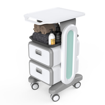 2 Drawers Mobile Trolley Cart Trolley Organizer Mobile Dental Cart with Caster