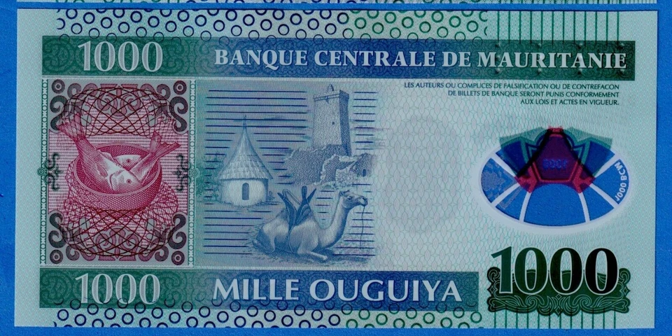 2014 Mauritania 1000 Ouguiya P-19 UNC Polymer Note - Fish, Camel, Hut, Tower - Image 3 of 4