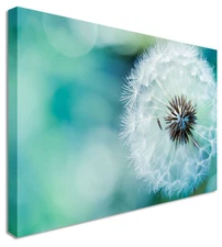 Dandelion Make Blue Canvas Wall Art Picture Print