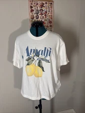 Gap Graphic Tee Shirt Amalfi Coast Print Women’s Size XL