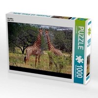 Calvendo Puzzle Giraffen 1000 Teile Puzzle Quer | 1000 Teile Lege-GrößE 64