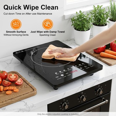 Portable Induction Burner 750W Induction Countertop Burner with Touch Panel