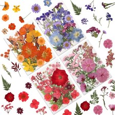 80 Pcs Dried Pressed Flowers for Crafts, Real Natural Dried Pressed Flowers i...