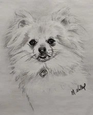 Original Charcoal Portrait Drawing Of Your Pet Dog Cat Sketch From Your Photo
