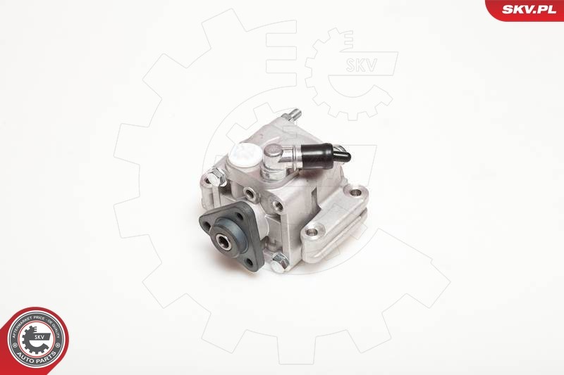 Pompe hydraulique ESEN SKV 10SKV088 résout le volant dur et les bruits de direction sur BMW