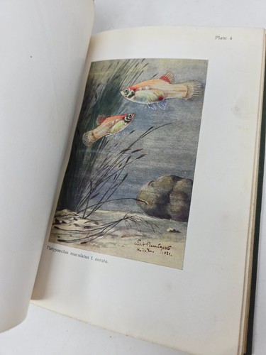 Tropical Fish for the Home by F.H. Stoye Empire Tropicals HC c.1930s Aquarium - Picture 10 of 11