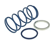 Yamaha Neos 2-Stroke 50cc (2002-03) Polini Evo Slider Torque Spring (+40%)