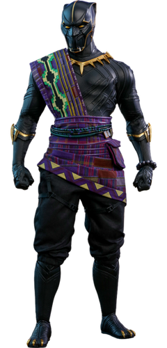 Hot Toys T’chaka Black Panther 12in. Action Figure - MMS487