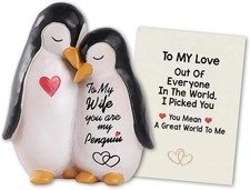 To My Wonderful Wife Valentine Gifts For Her Birthday Anniversary Present Love