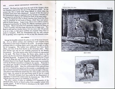 NATIONAL ZOOLOGICAL PARK AND ITS INHABITANTS. WRITTEN BY FRANK BAKER. AN ARTICLE