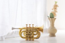 POCKET TRUMPET Bb BRASS W/FREE HARD CASE AND MOUTHPIECE.