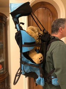 sherpani backpack carrier