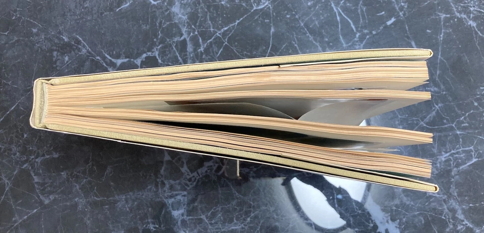 MORRIS LOUIS 1979 1ST EDITION ABSTRACT EXPRESSIONIST LITHOGRAPH PRINT BOOK - Image 4 of 4