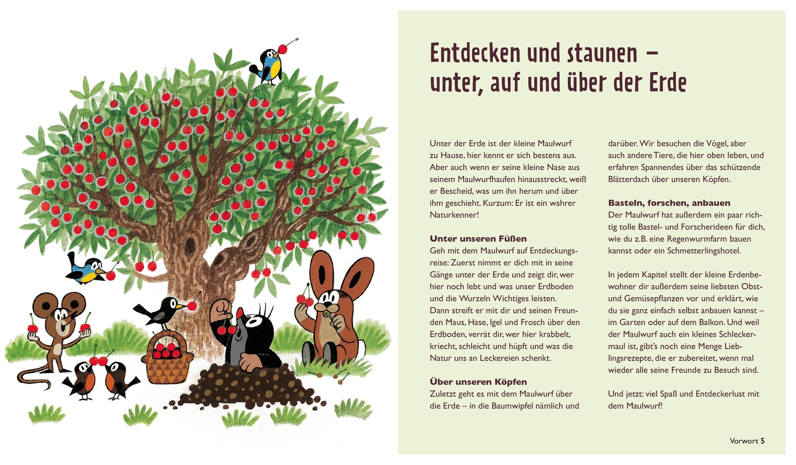 Thumbnail - Der Kleine Maulwurf: Über Und Unter Der Erde Zs-team