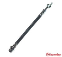 Bremsschlauch Brembo T 83 160 FüR Verso Toyota Auris Corolla Dual Vvti NRE150_