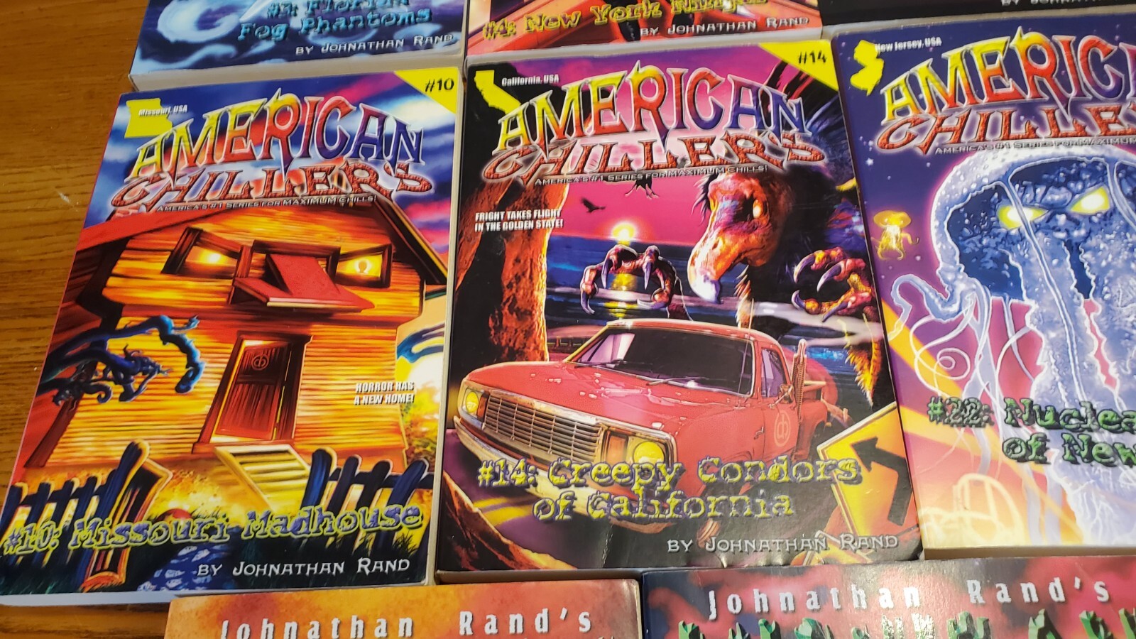 Lot of 14 AMERICAN CHILLERS and MICHIGAN CHILLERS Books Series by