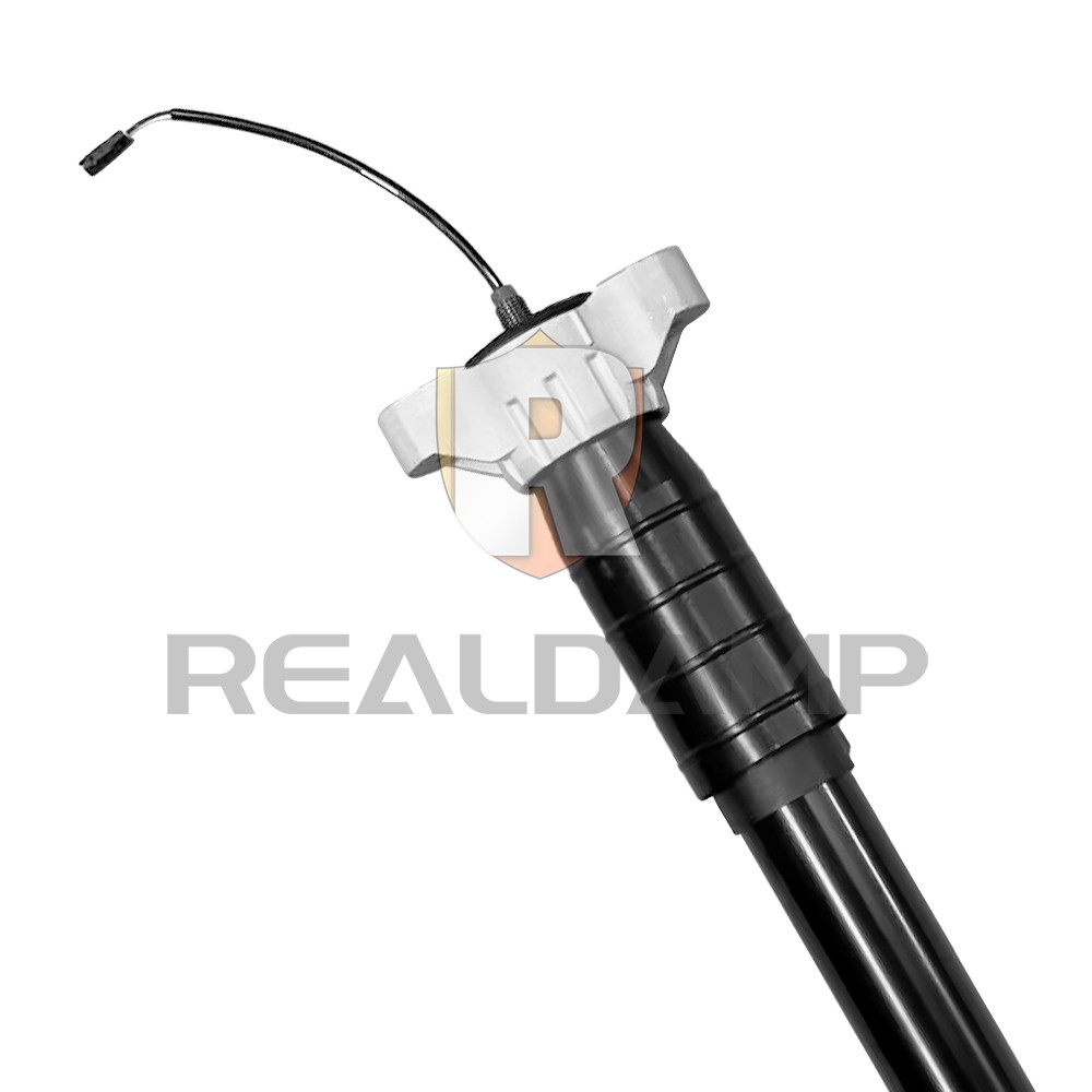 Fit 2017-22 Maserati Levante M161 Rear LH Or RH Shock Absorber Struts 670037439
