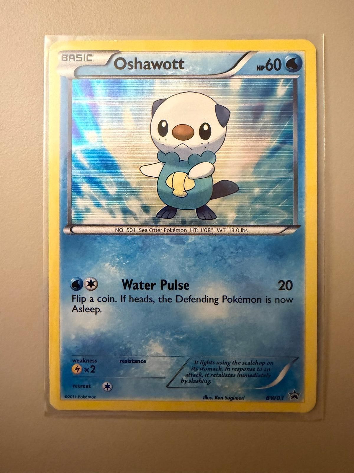 Oshawott BW03 Holo Promo Black And White Promo Pokemon Moderately Played