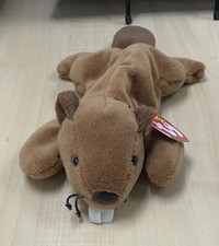 BUCKY THE BEAVER BEANIE BABY Rare! Mint! W/ Errors! PVC 6-8-95 