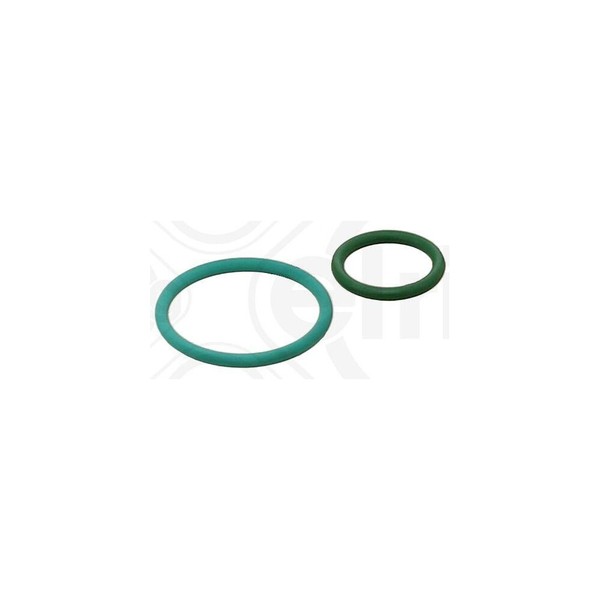 Dichtungssatz, Einspritzpumpe Elring 455.290 FüR CitroËN Fiat Peugeot DS-image