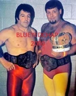BILL DUNDEE & JERRY LAWLER WRESTLER 8 X 10 WRESTLING PHOTO NWA