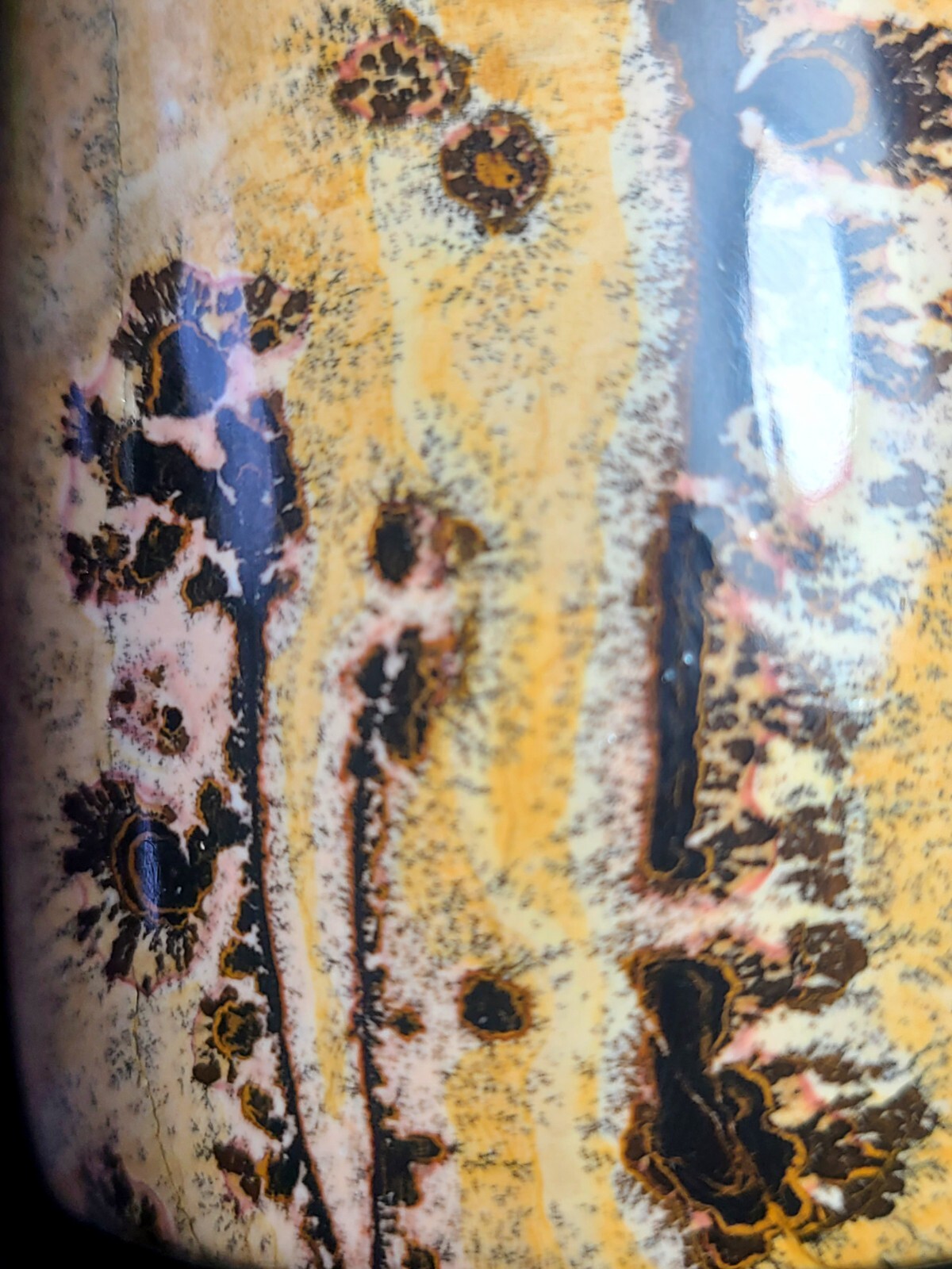 Picture 10 of 13