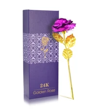 Christmas Rose Gifts Light Up Rose Flowers in Glass Dome Gifts for Her, Women US