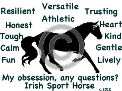 Irish Sport Horse My Obsession, Any Questions? T-shirt Choices