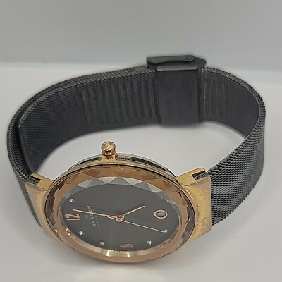 Skagen SKW2120 Women\'s Stainless Steel Mesh Analog Dial Quartz Wrist Watch AM613 s-l400.jpg main image 4