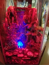 Remote Controlled Fish Tank LED Lights with 20 Color and Motion Options
