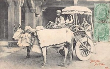 India - PUNJAB - An ekka - Local cart