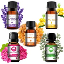 Essential Oil 10ml Aromatherapy Massage Bath Skin Home Fragrance Burner Diffuser