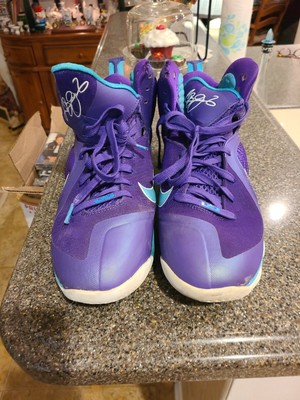 Nike Men's Size 12 LeBron James IX 9 