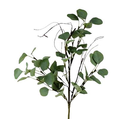 Knstlicher Eukalyptus-Zweig - 60 cm lang, vielseitig einsetzbar, tuschend  echt | eBay.de