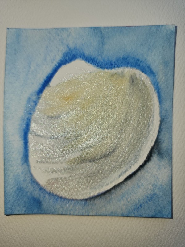 aceo original painting watercolor #4 Clam Shell OOAK 2.5 x 3 in set Coastal Cute