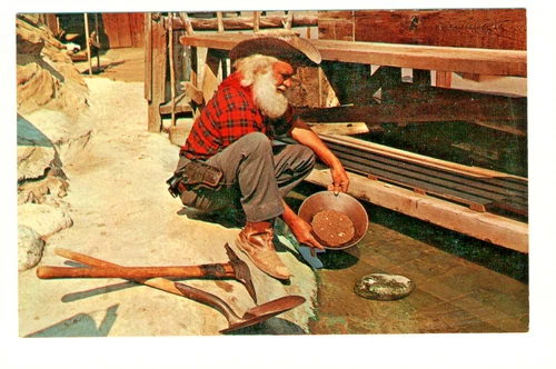 Postcard Knott's Berry Farm Prospector Panning Gold in Ghost Town Stream. D3