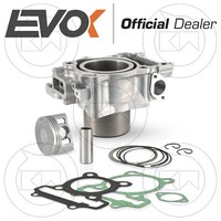 Evok Zylinderkit FüR Honda SH 300 A ABS 2015 Mit Kolben, Dichtungen
