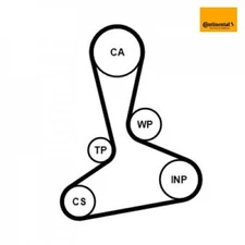 Water Pump + Timing Belt Kit Continental CTAM CT1242WP1