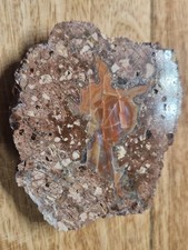 💎 ACHAT Rhyolith ähnl. Porphyr THÜRINGEN / GEHLBERG ANSCHLIFF Vorwendestück 💎