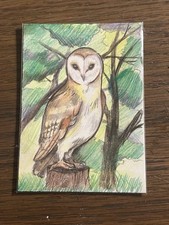 Barn owl ACEO collectors card 
