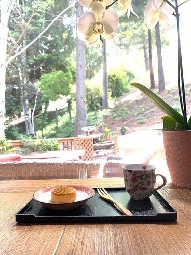 Paquete de 2 bandejas para servir sushi sake té té lacado de plástico negro 4901x2 - Imagen 7 de 8