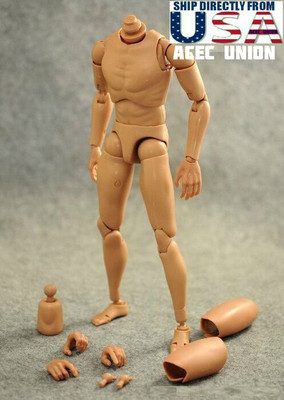 1/6 Narrow Shoulder Male Figure Body For Hot Toys TTM18 TTM19 TTM21 USA SELLER