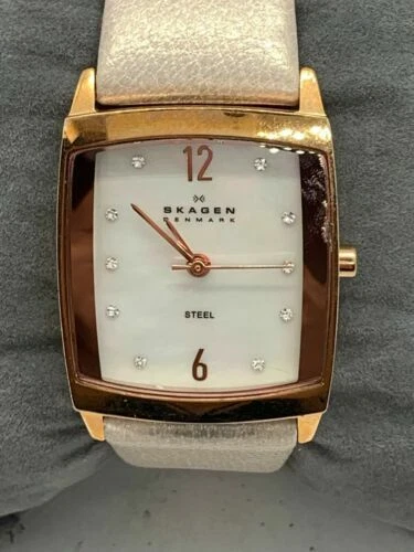 Skagen 691SRLTT Women s Watch Japan Quartz Movement Analog 25mm