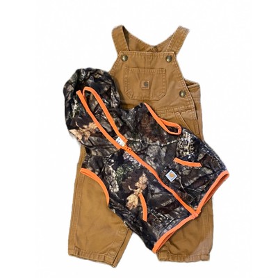 ebay carhartt overalls