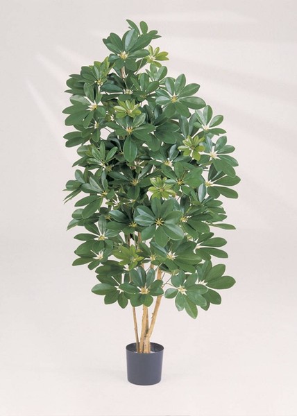 Artplants Kunstpflanze Schefflera Premium, Getopft, 1420 BläTter, GrüN, 170Cm-image